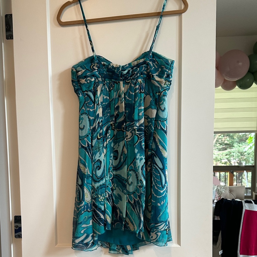 Express Dress - Picture 5 of 6